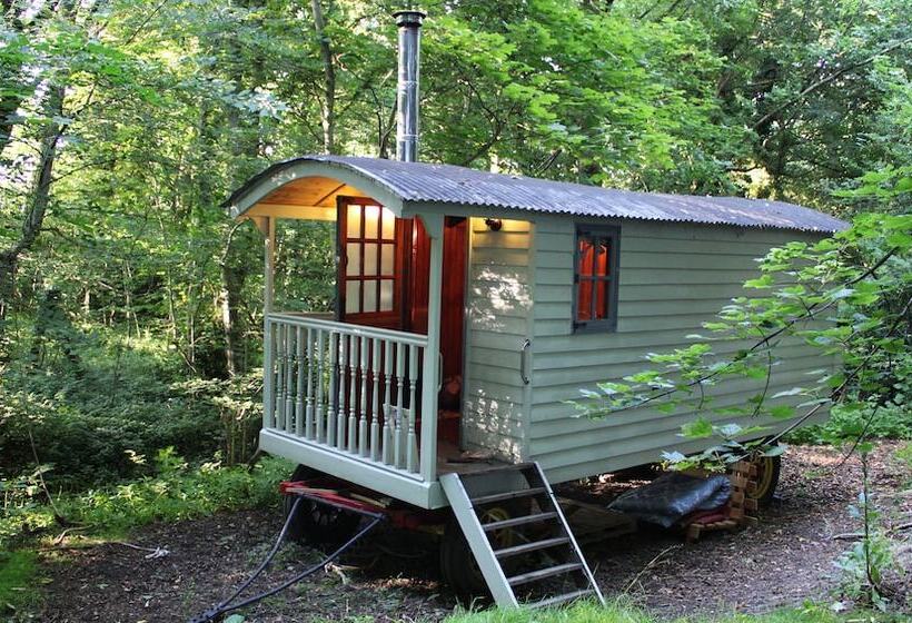 Bed and Breakfast Tower