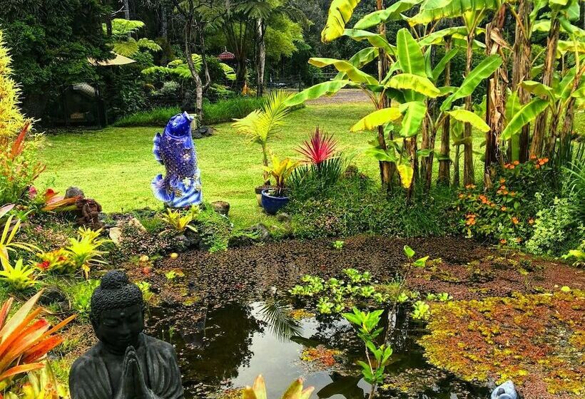 צימר Volcano Artist Cottage