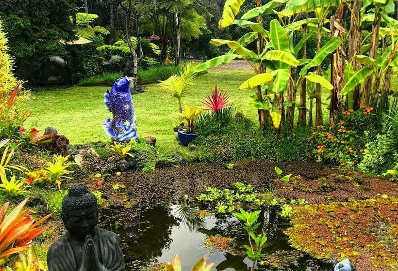 צימר Volcano Artist Cottage