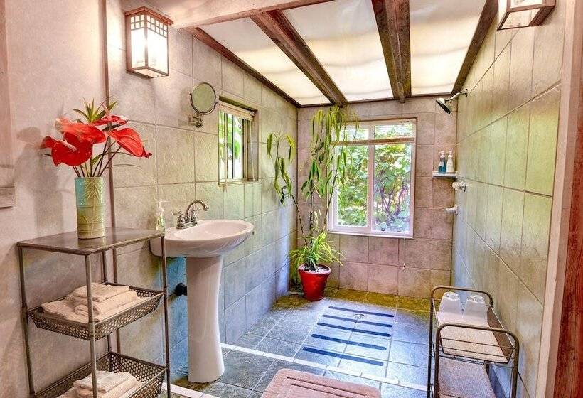 צימר Volcano Artist Cottage