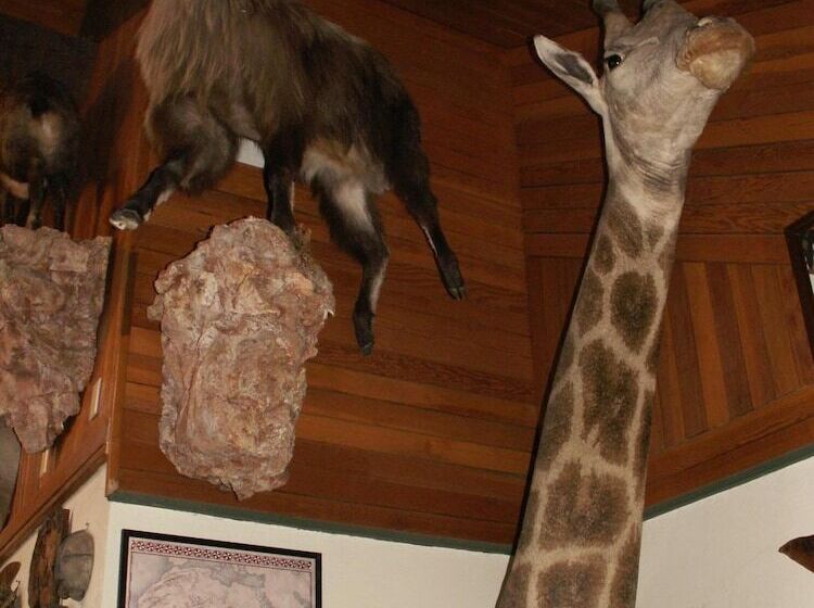 مبيت وإفطار Whitebird Summit Lodge