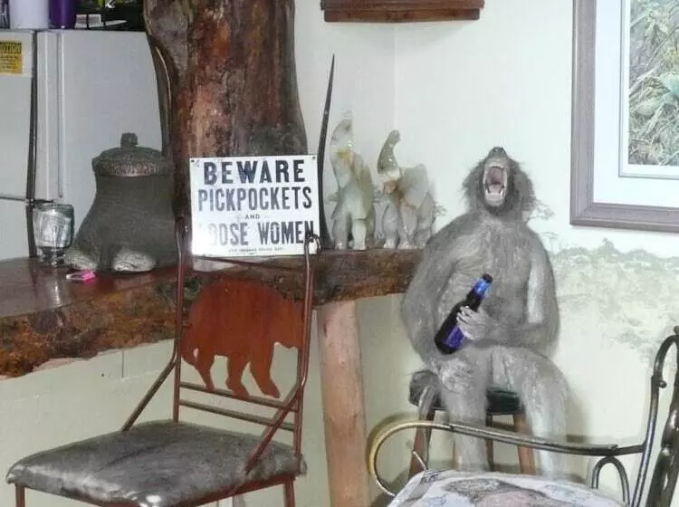 Bed and Breakfast Whitebird Summit Lodge