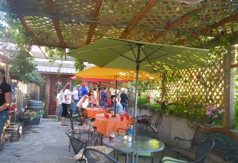 Bed and Breakfast Whitebird Summit Lodge