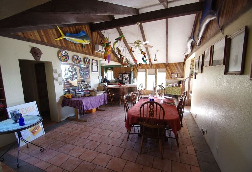 مبيت وإفطار Whitebird Summit Lodge