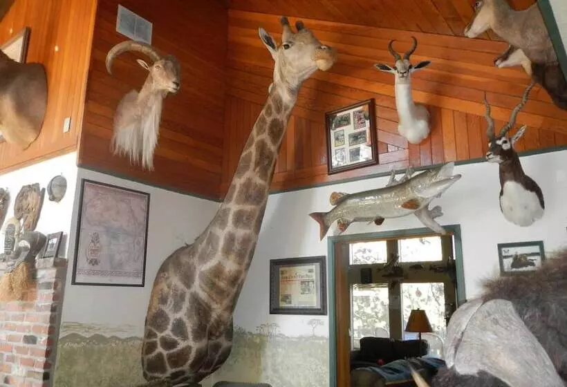 Bed and Breakfast Whitebird Summit Lodge