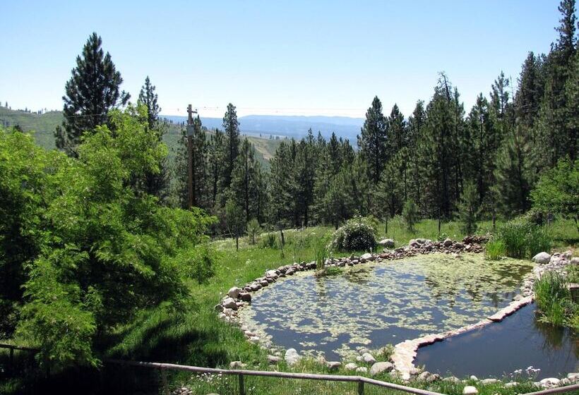 مبيت وإفطار Whitebird Summit Lodge