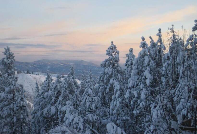 مبيت وإفطار Whitebird Summit Lodge