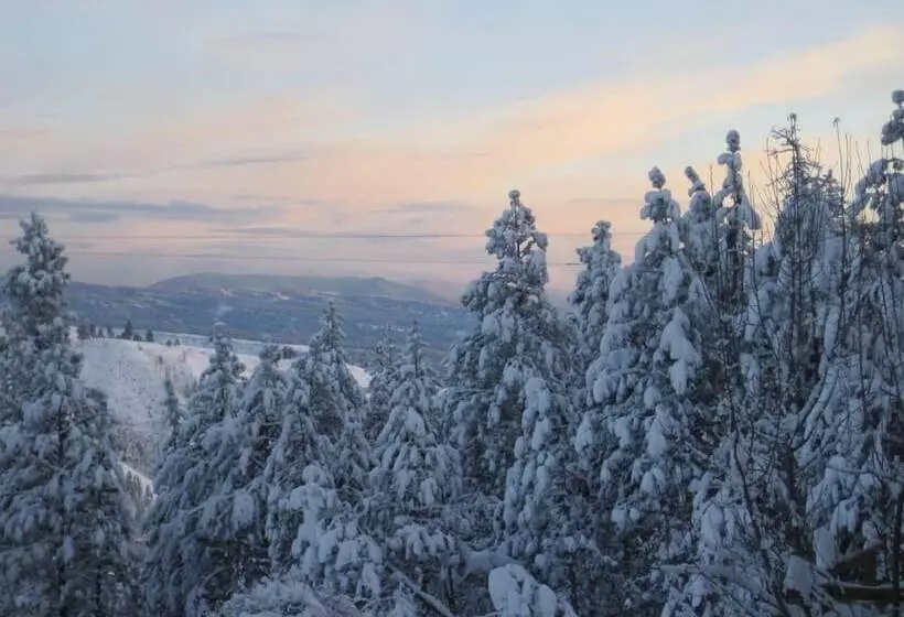 Bed and Breakfast Whitebird Summit Lodge