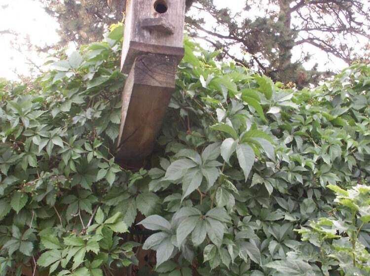 مبيت وإفطار Whitebird Summit Lodge