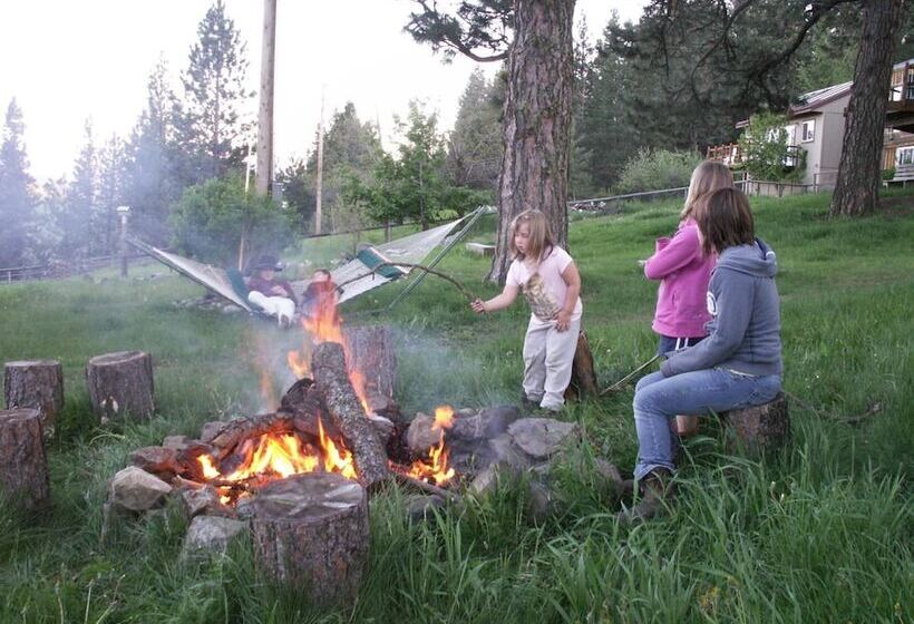 مبيت وإفطار Whitebird Summit Lodge