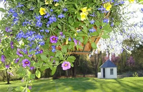 Chestnut Hill Bed & Breakfast