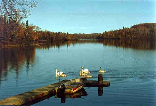 צימר Daniels Lake Lodge Cabins