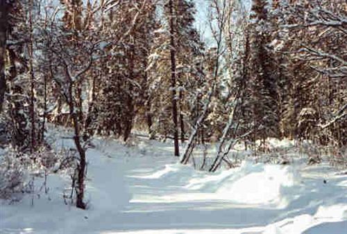 צימר Daniels Lake Lodge Cabins