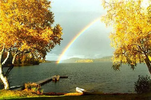 ベッドアンドブレックファースト Daniels Lake Lodge Cabins