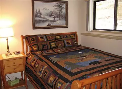 酒店 Buffalo Ridge - Unit B104