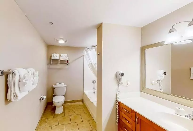 酒店 Harbourgate Marina Club