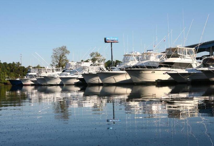 酒店 Harbourgate Marina Club