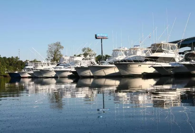 酒店 Harbourgate Marina Club