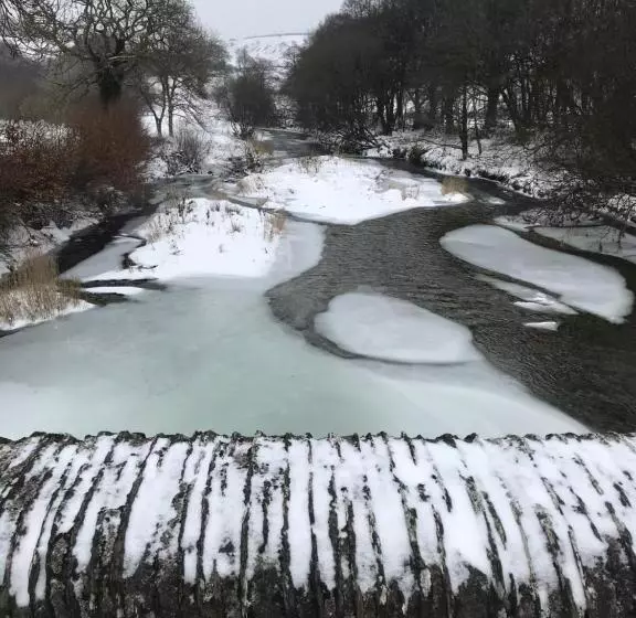 בית מלון כפרי The Royal Oak Inn