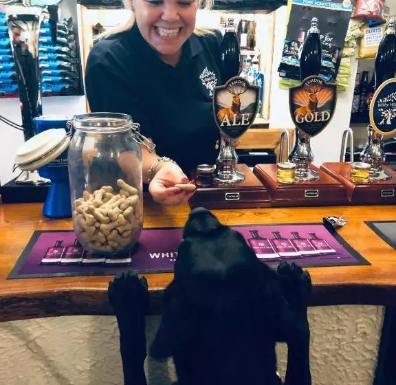 בית מלון כפרי The Royal Oak Inn