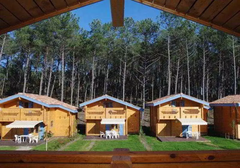 Le Domaine Des Pins D Or