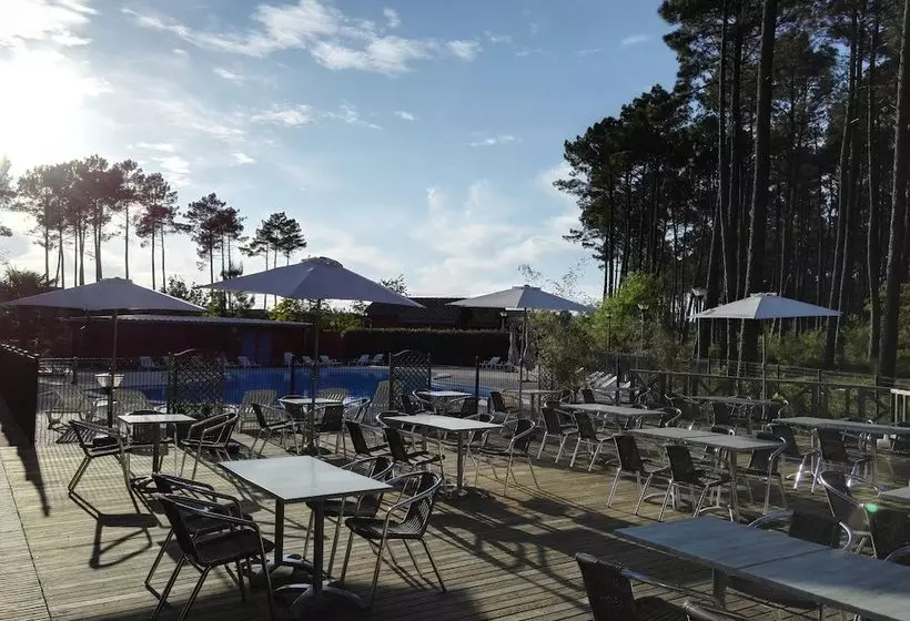 Le Domaine Des Pins D Or