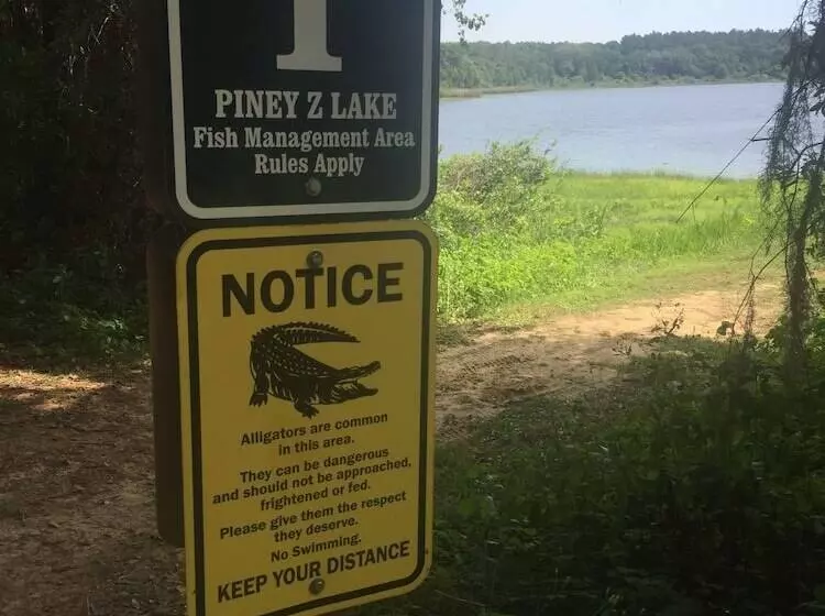 Little English Guesthouse B&b