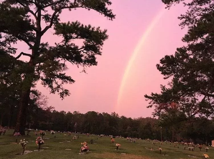 Little English Guesthouse B&b