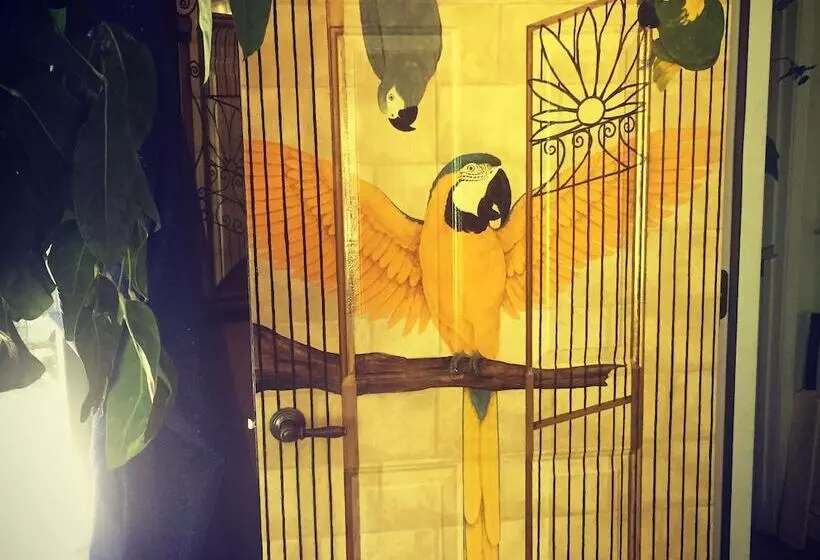 Little English Guesthouse B&b