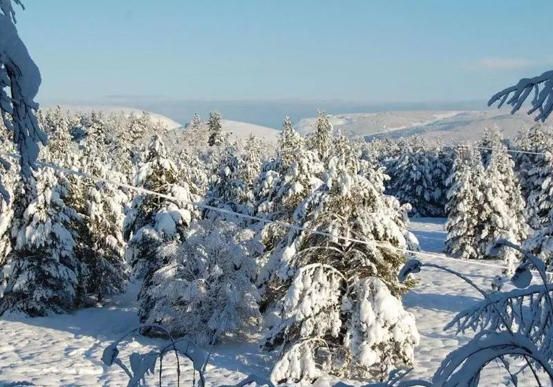 Majatalo Glenan Lodge Self Catering