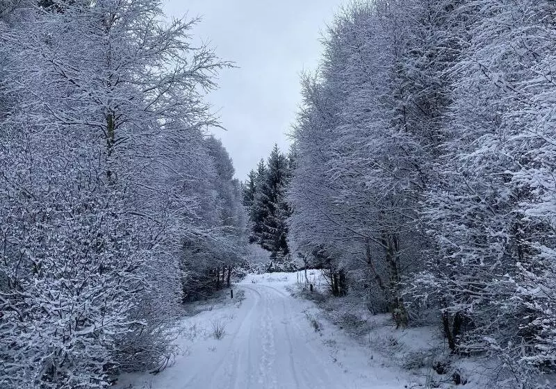 Majatalo Glenan Lodge Self Catering