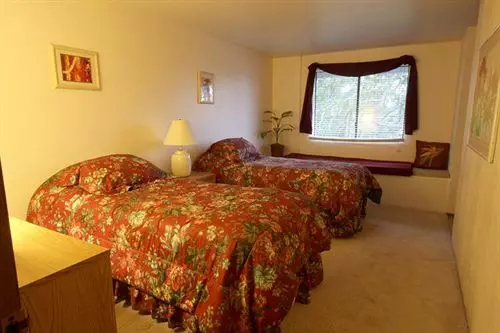 Panzió Halana Lodge