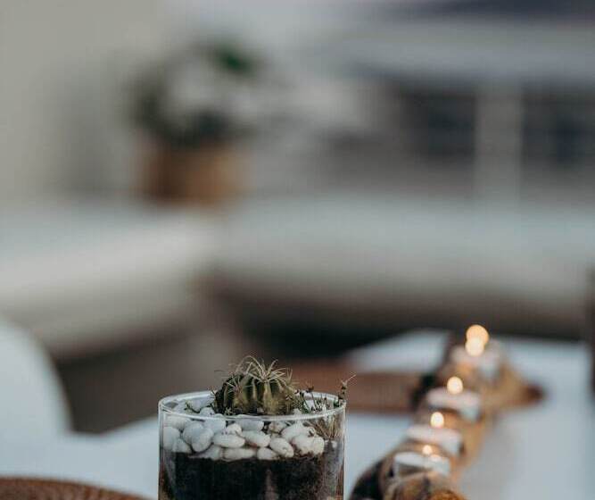 פנסיון The Robberg Beach Lodge   Lion Roars Hotels & Lodges