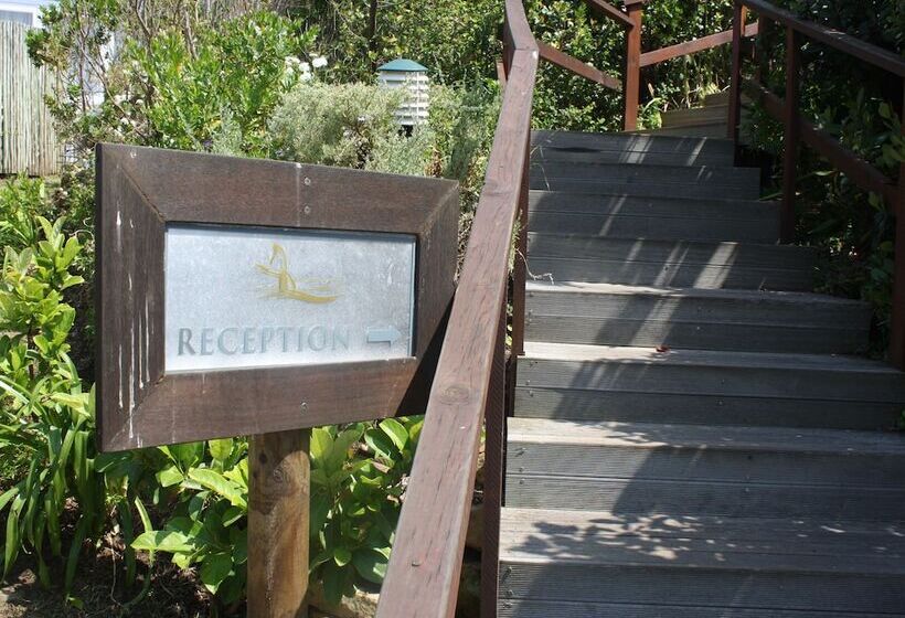 פנסיון The Robberg Beach Lodge   Lion Roars Hotels & Lodges