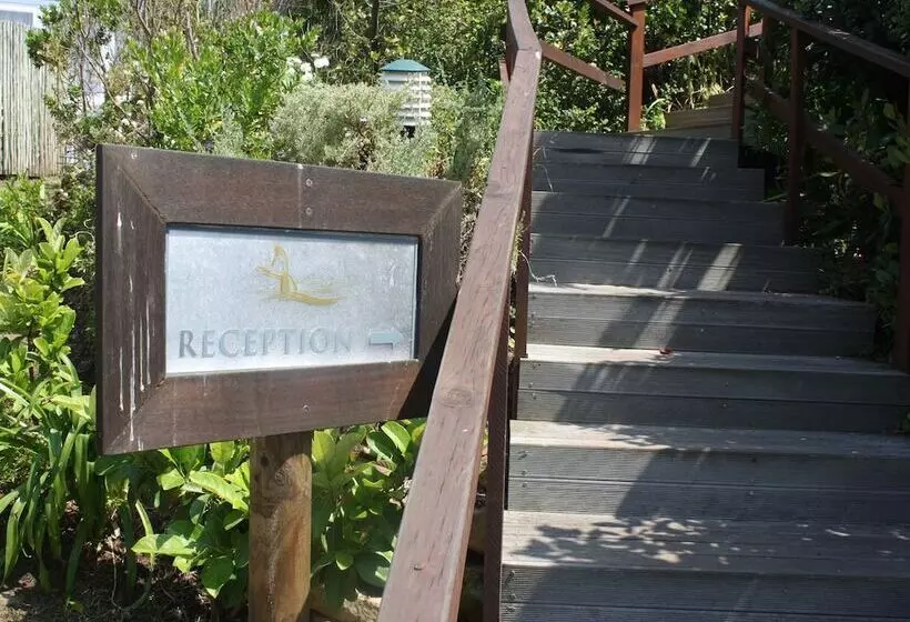پانسیون The Robberg Beach Lodge   Lion Roars Hotels & Lodges