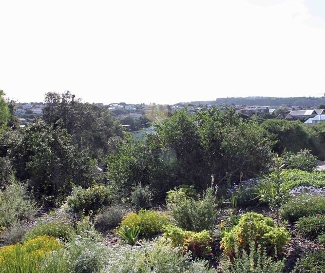 פנסיון The Robberg Beach Lodge   Lion Roars Hotels & Lodges