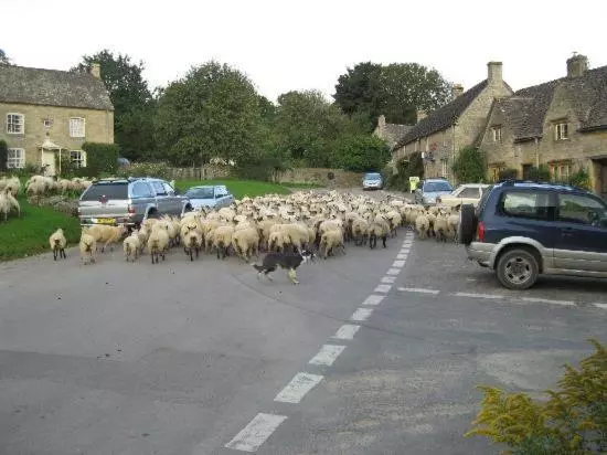 Pensió Guiting Guest House