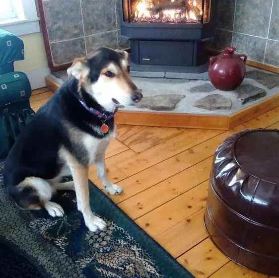 The Rendezvous Bed & Breakfast