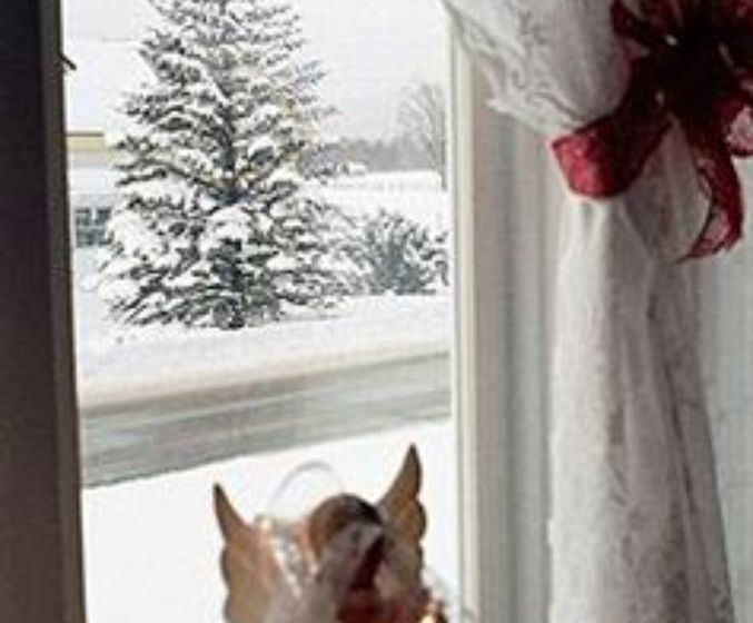 The Rendezvous Bed & Breakfast