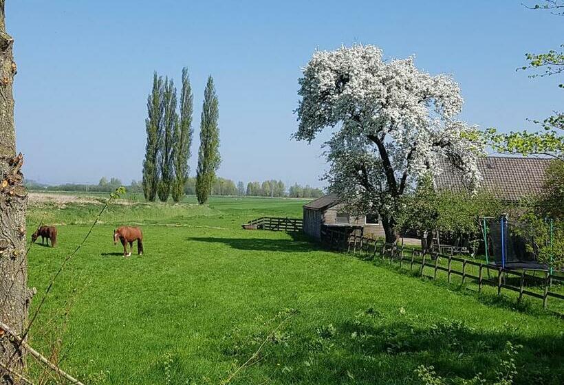 Nocleg ze śniadaniem Het Voorhuis Boerderij Hoeve Vrede Best