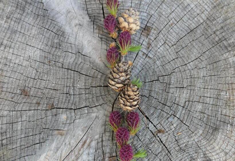 住宿加早餐 Val D Azur B C