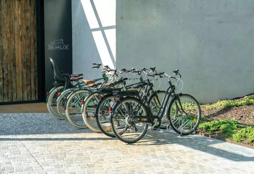 ホテル Quinta De Silvalde