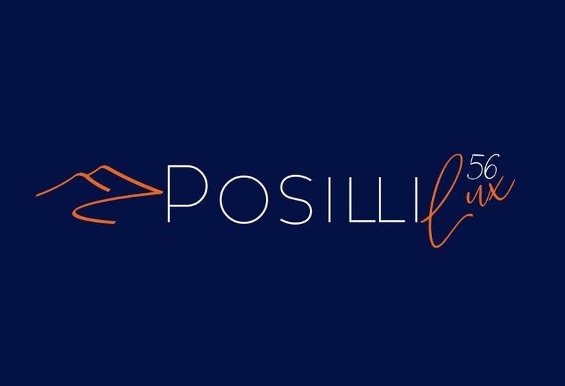 پانسیون Posillilux