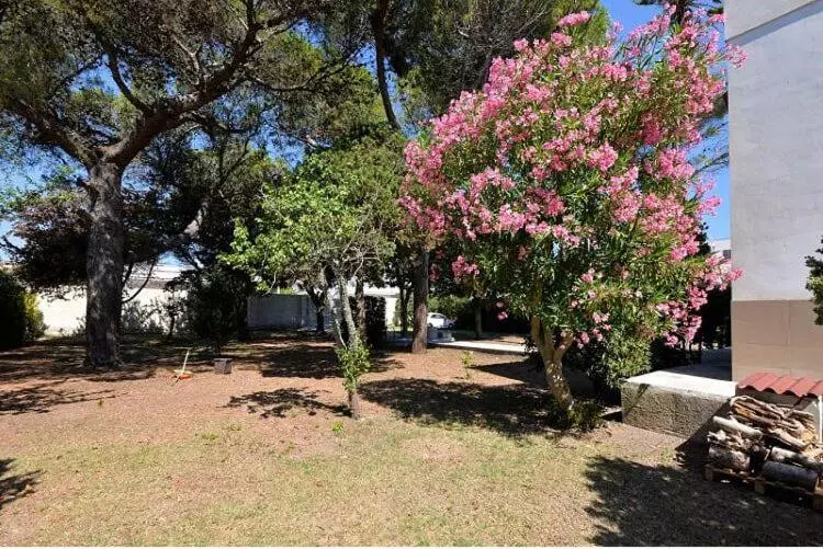 تختخواب و صبحانه Dimora Villa Orietta Torre Dell Orso