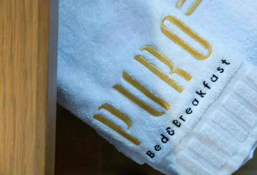 Aamiaismajoitus (B&B) Puro