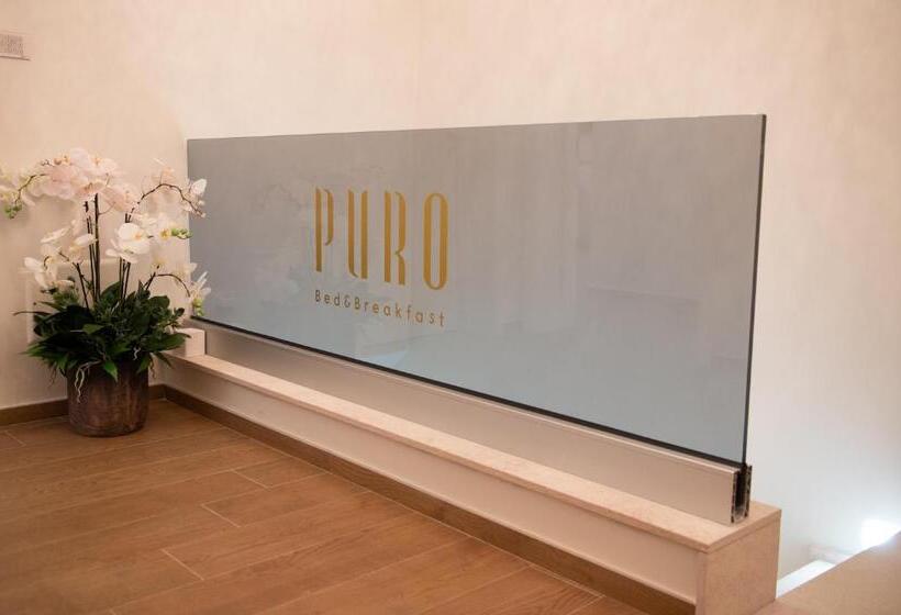 مبيت وإفطار Puro