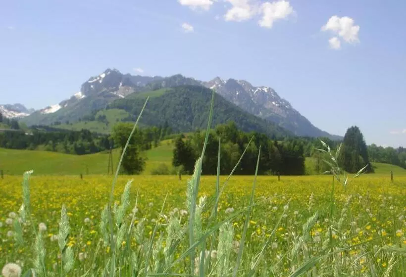 ホテル Bio Bauernhof Bachangerhof