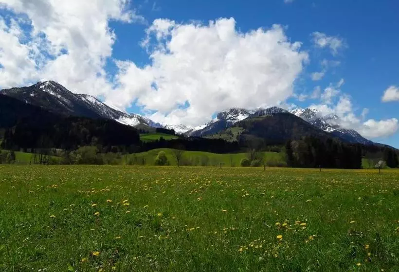 ホテル Bio Bauernhof Bachangerhof