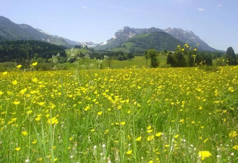 ホテル Bio Bauernhof Bachangerhof
