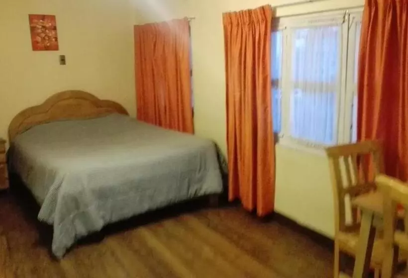 ユースホステル Hostal Isidoros